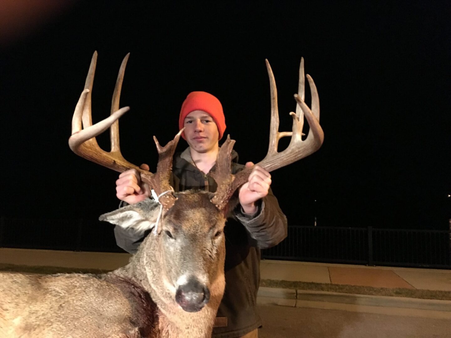 A man holding a deer
